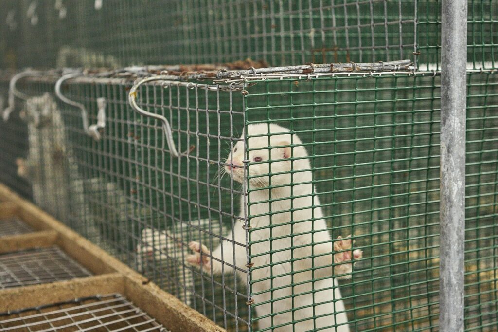 000M6DI0W656GSLL-C125-F4