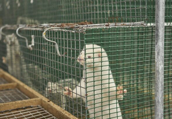 000M6DI0W656GSLL-C125-F4